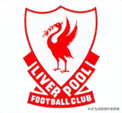 球迷基础知识,球迷知识世界杯