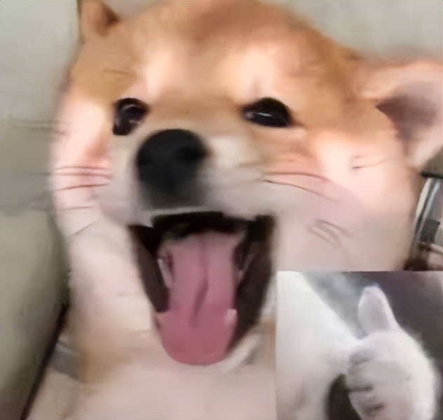 鼻子过敏小方法,治鼻子过敏的最佳方法