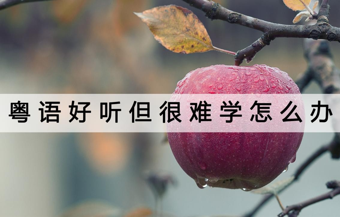 粤语怎么这么难学,粤语音调怎么学好听