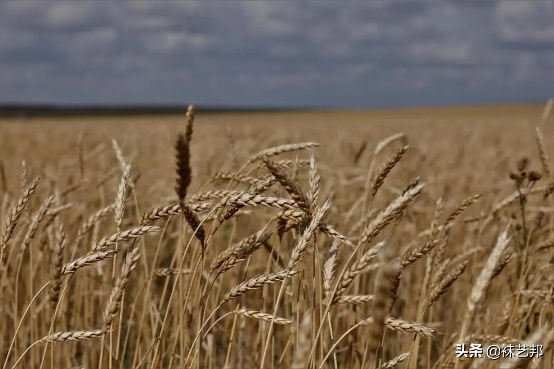 韩国贸易逆差扩大,韩国贸易逆差首次突破100亿美元