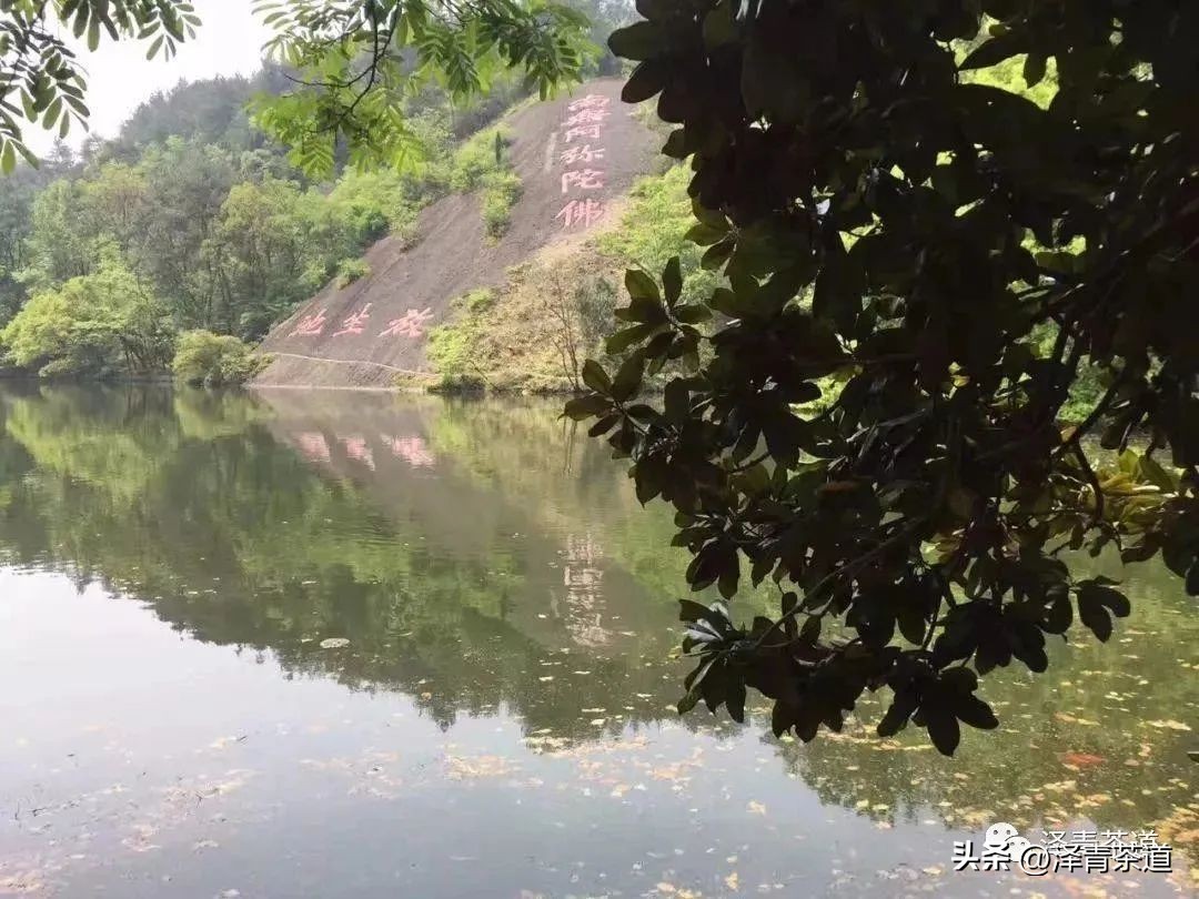 中国10大名茶品牌排名图片,2022年最具品牌价值的10大茶品牌