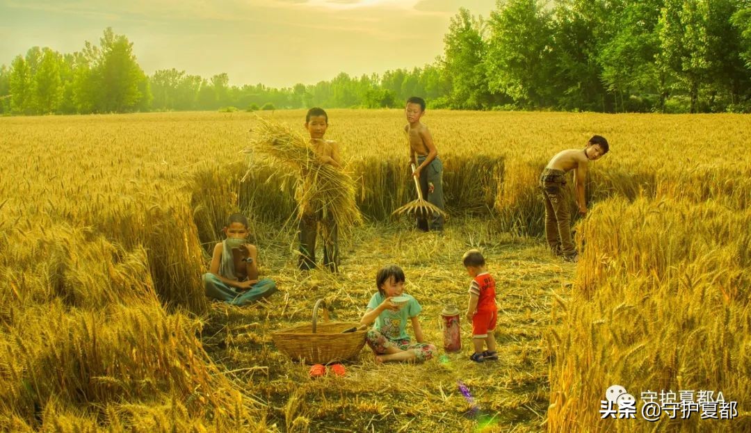 关于农民交公粮的文章,交公粮的80年代老歌完整版