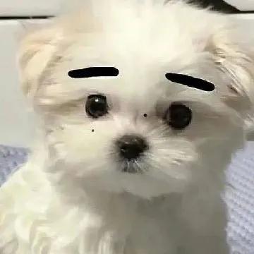 土象星座爱情运,土象星座摩羯和金牛座合得来吗