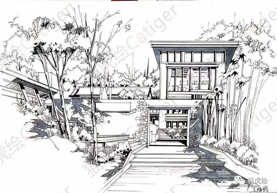 2022猫虎绘暑假手绘班招生简章「线上+线下」