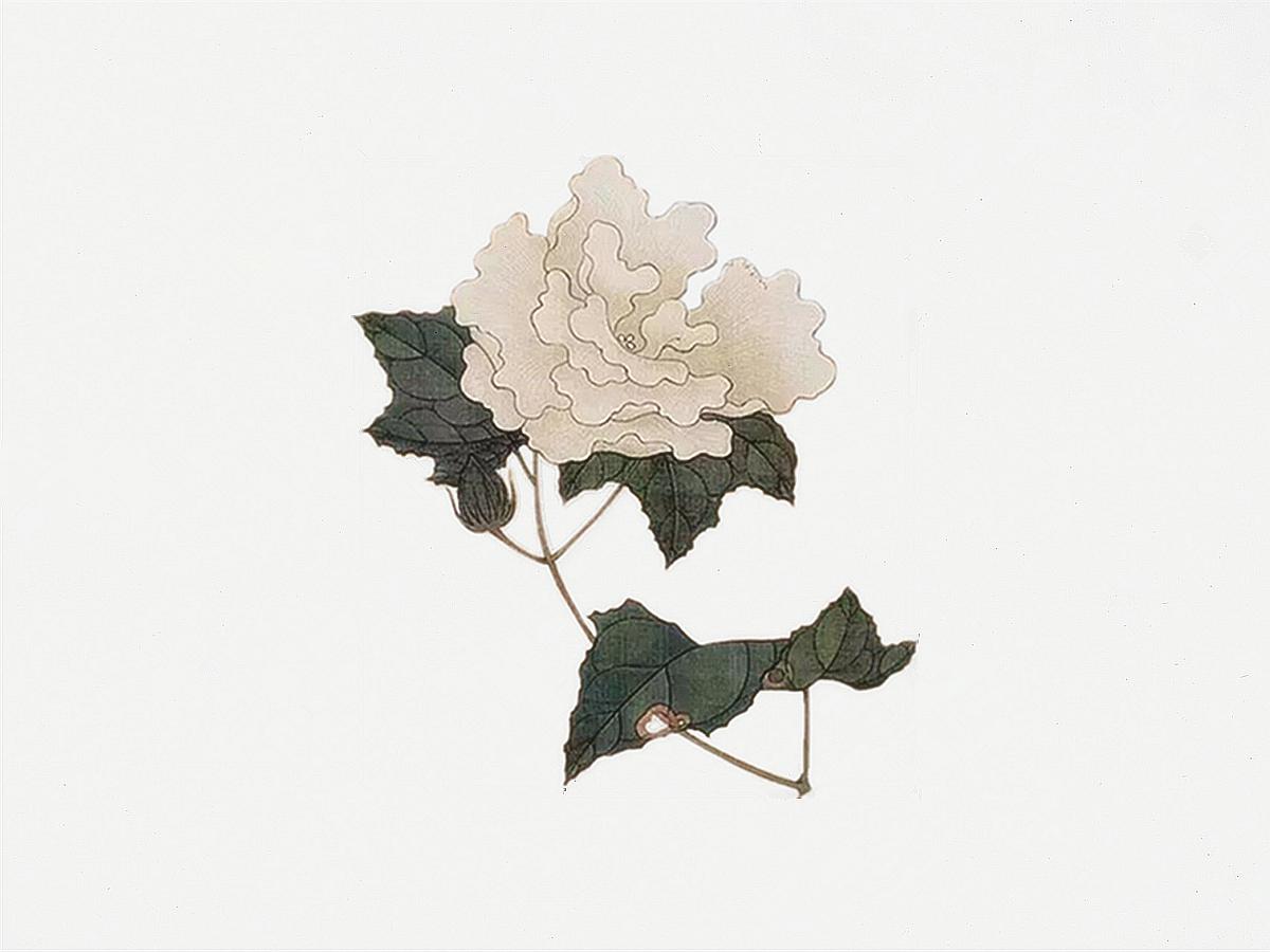 治愈不开心的六首古诗,心情不好时必读的5首古诗词