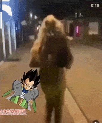 每日一笑很尴尬的瞬间,每日一笑尴尬瞬间