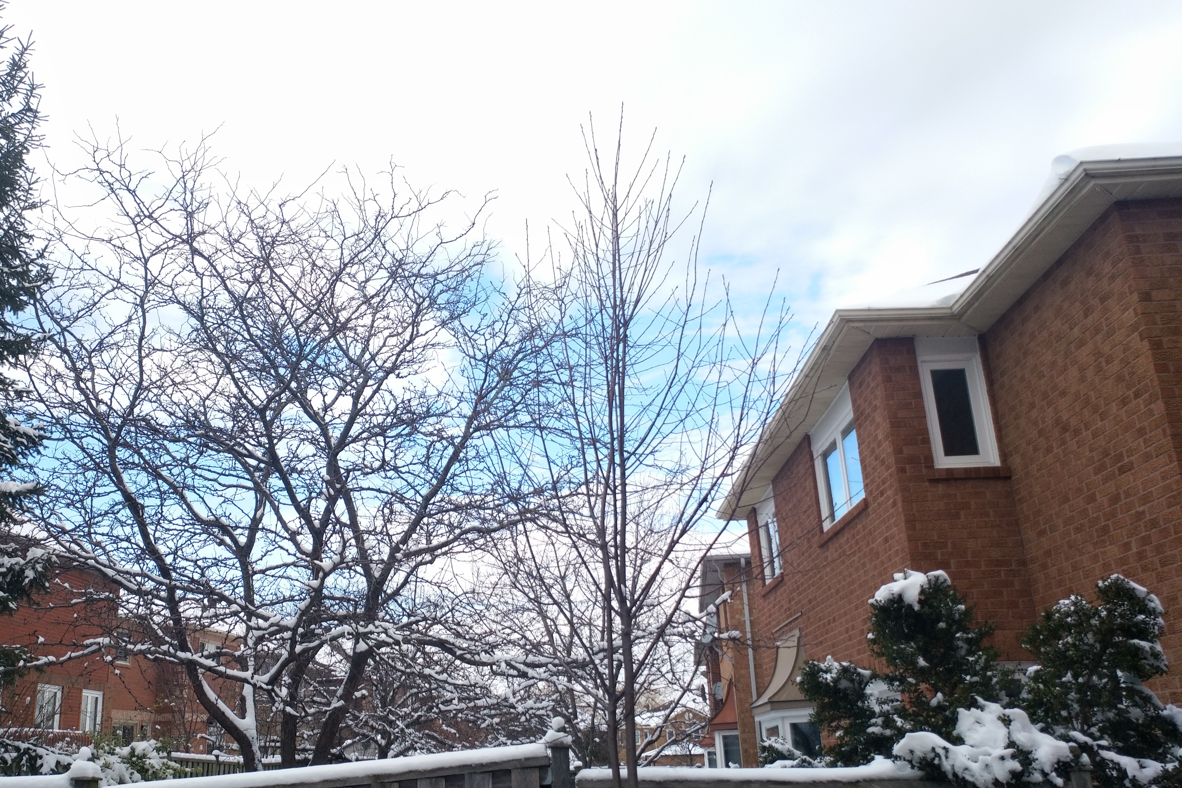 「加拿大印象」多伦多地区的冬天到底冷不冷