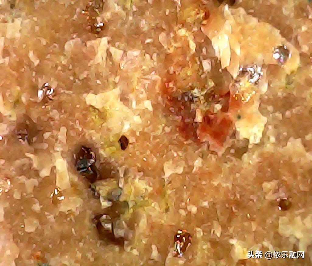 深色基质的都是碳质球粒陨石吗,红色基质黑色球粒是什么陨石