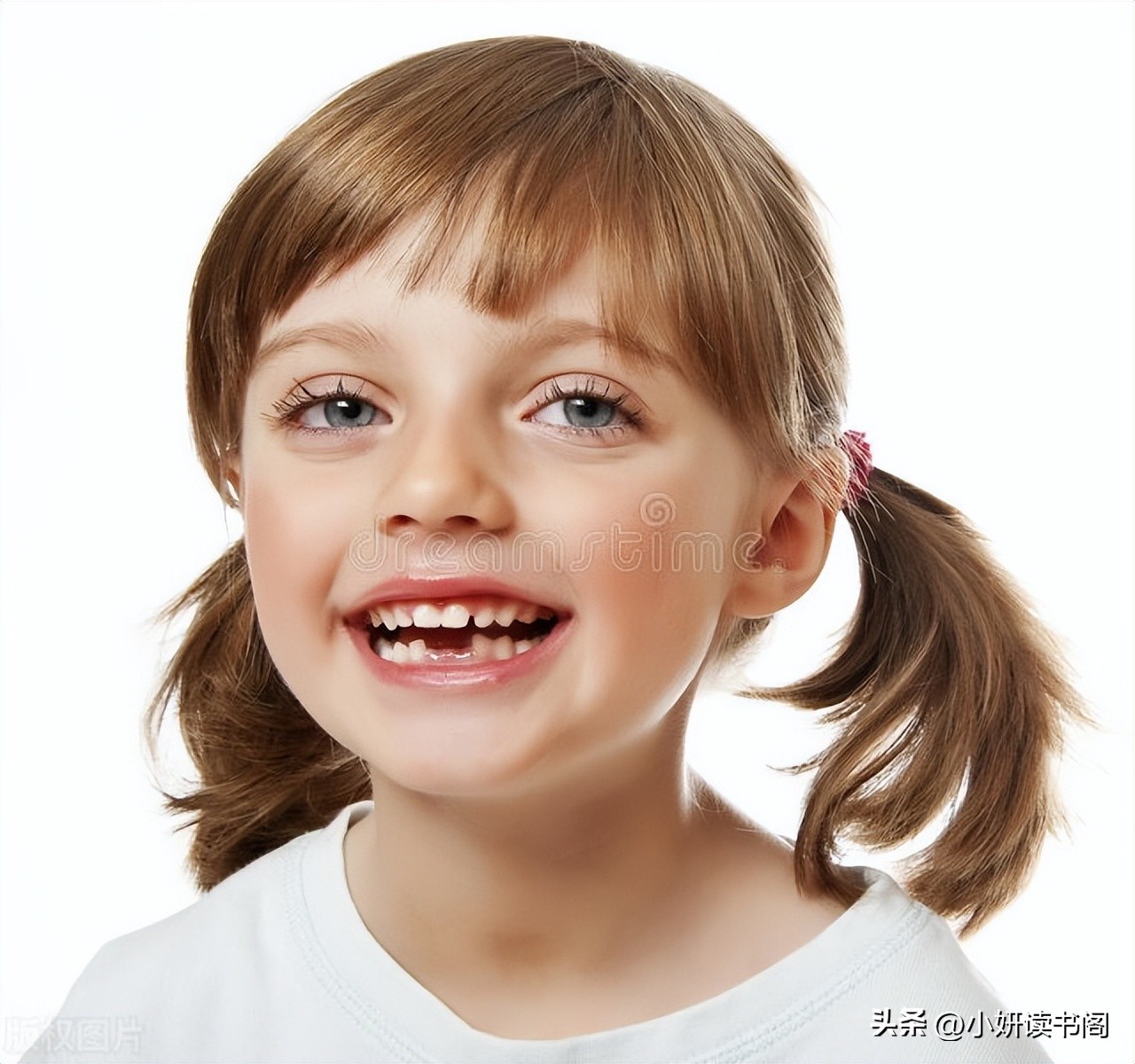 银眼金牙钻石身高,金眼银牙钻石