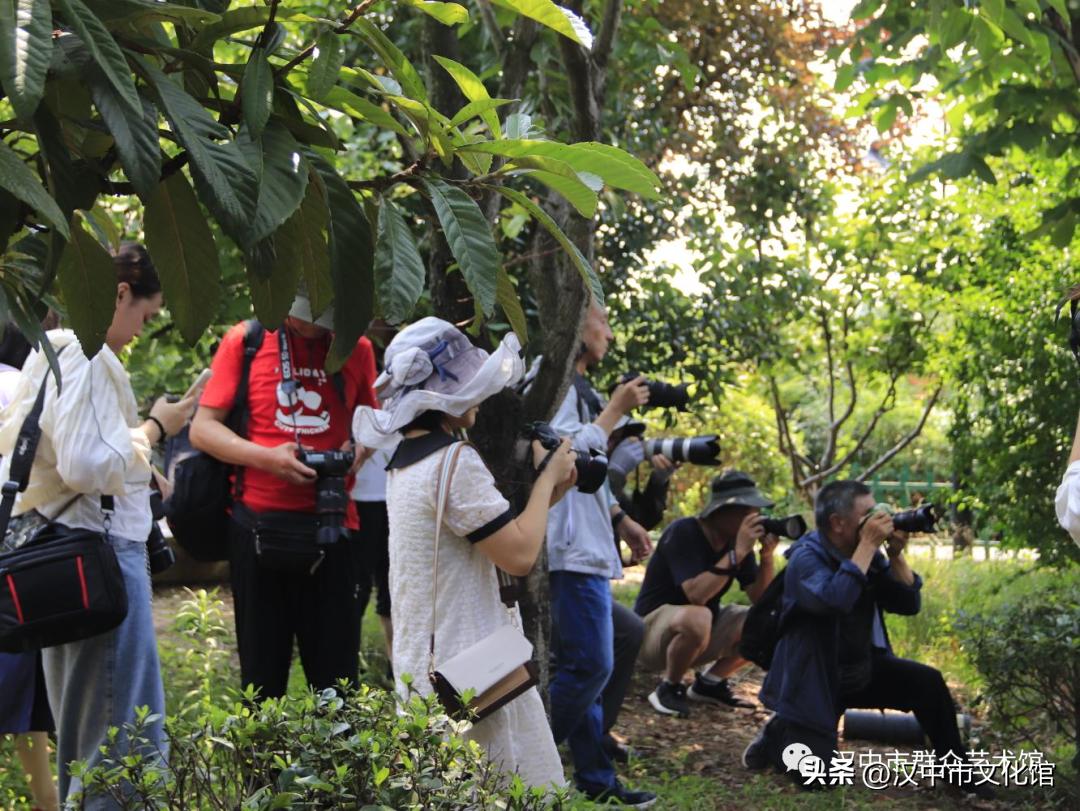 摄影创作培训班六期,文化馆举办摄影作品欣赏图文