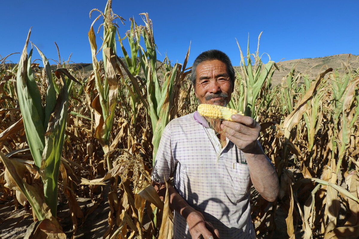 听农民大叔打开窗户说亮话“央行放水万亿”该贷贷贷,该花花花