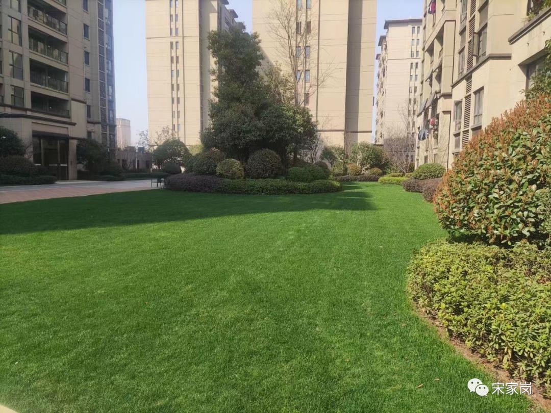 武汉盘龙城种草专业户—新力帝泊湾小区,小区品质离不开细节处理