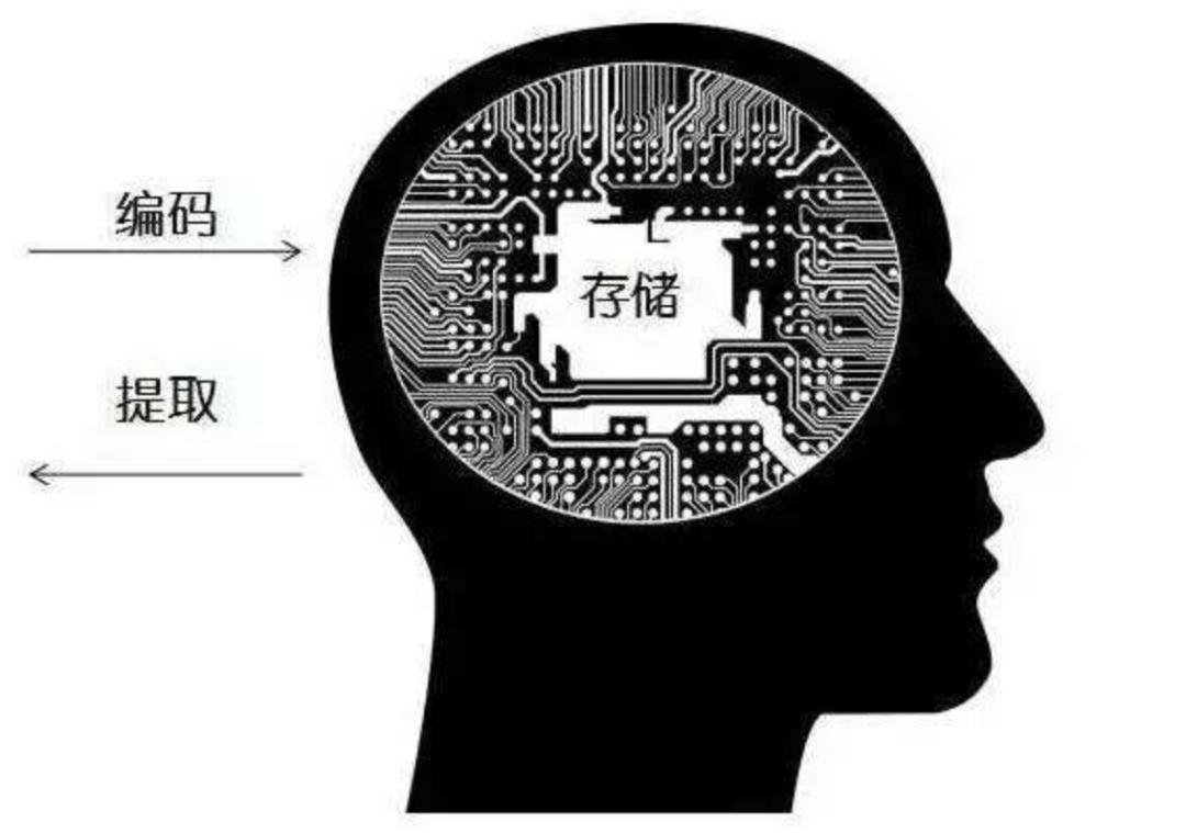 人类大脑为什么越来越厉害,你知道人类大脑的容量有多大