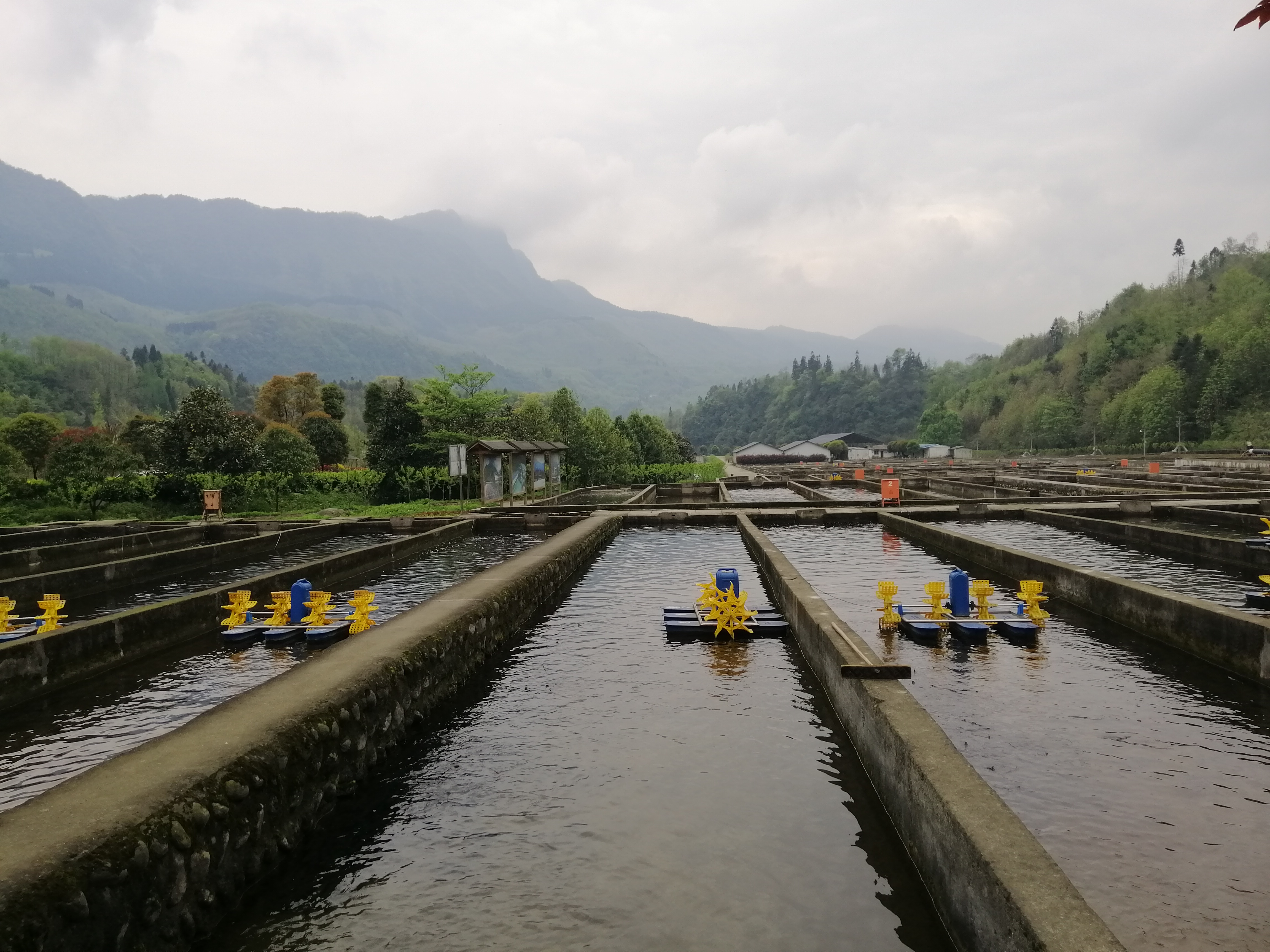 “种草”《大河恋》,解锁大虹鳟,也寻找着生命的意义