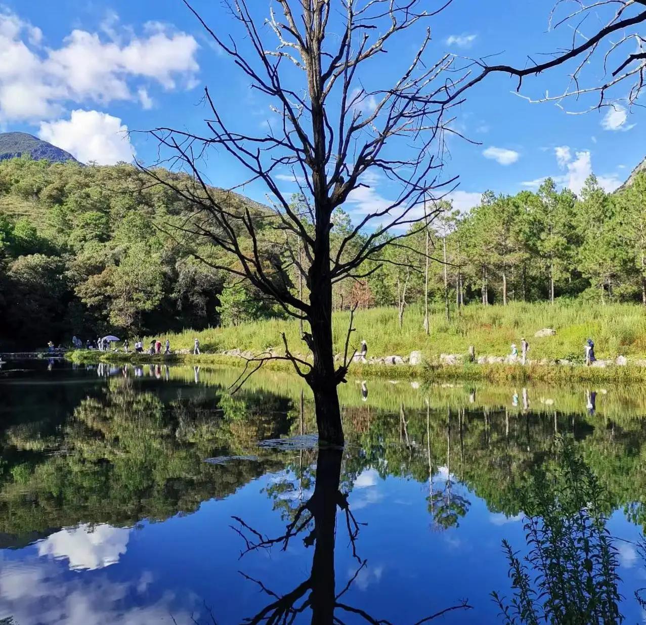 我在云南的旅行,云南旅游跟团的各种坑