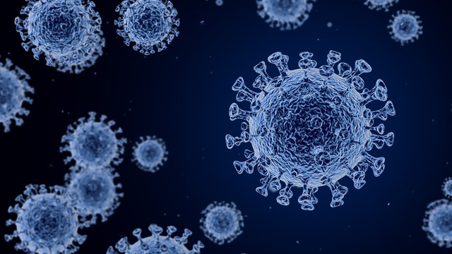 究竟有多少细菌生活在我们的身体里？