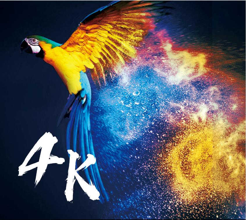 阿凡达2哪种影厅观影效果最好,阿凡达2内地定档博纳