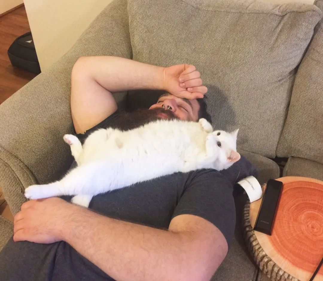 养猫的呼噜声音 (养猫呼噜的声音)