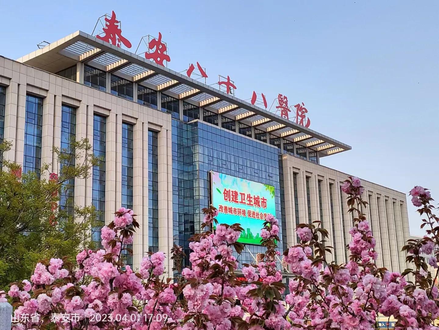 正青春‖*安泰**八十八医院正以青春之名，扬风帆之势，续写新的华章