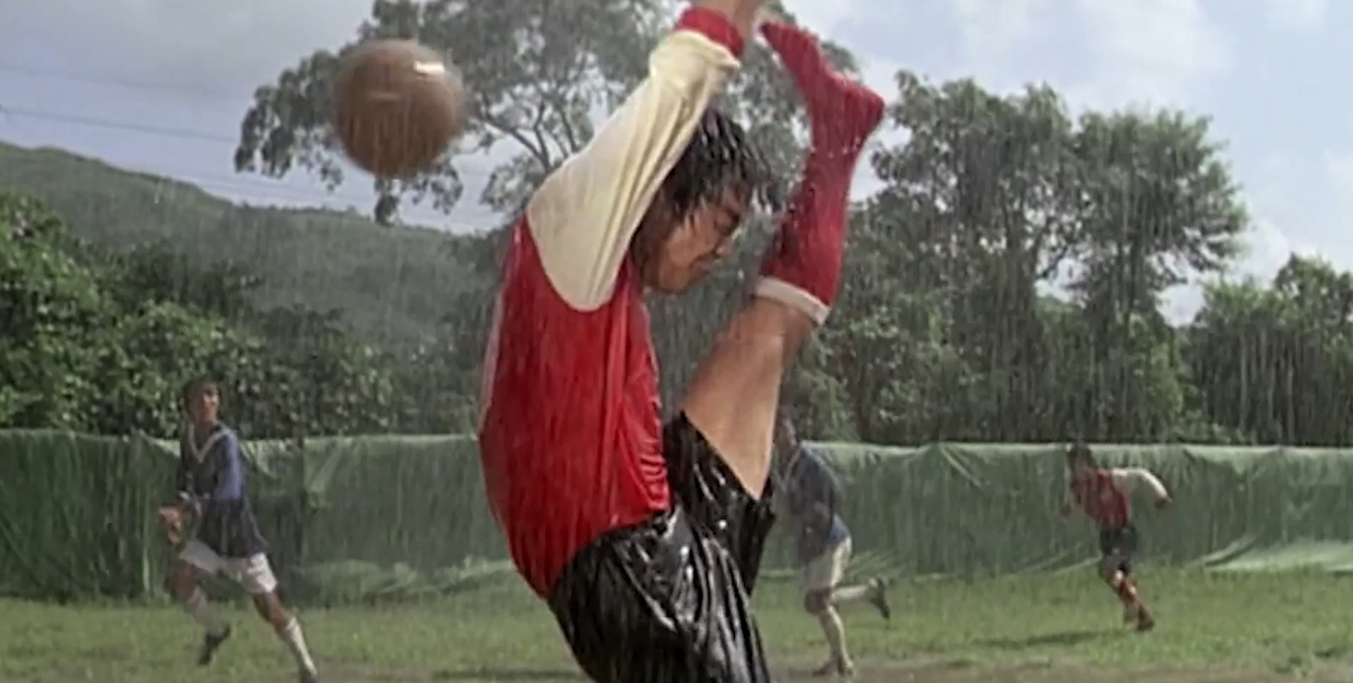 赶鸭的小伙,赶鸭子的小伙子