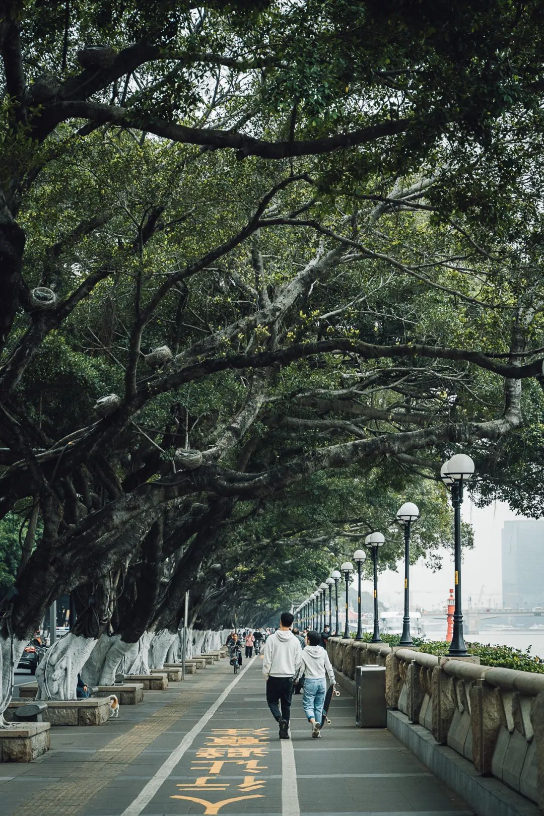 粤语情话晴天阴天暴雨天怎么说,粤语很甜很撩的情话短句谐音