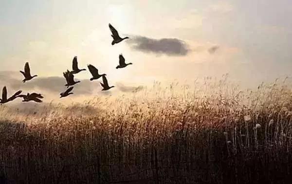 道德经七十二章感悟心得,道德经七十二章帛书版