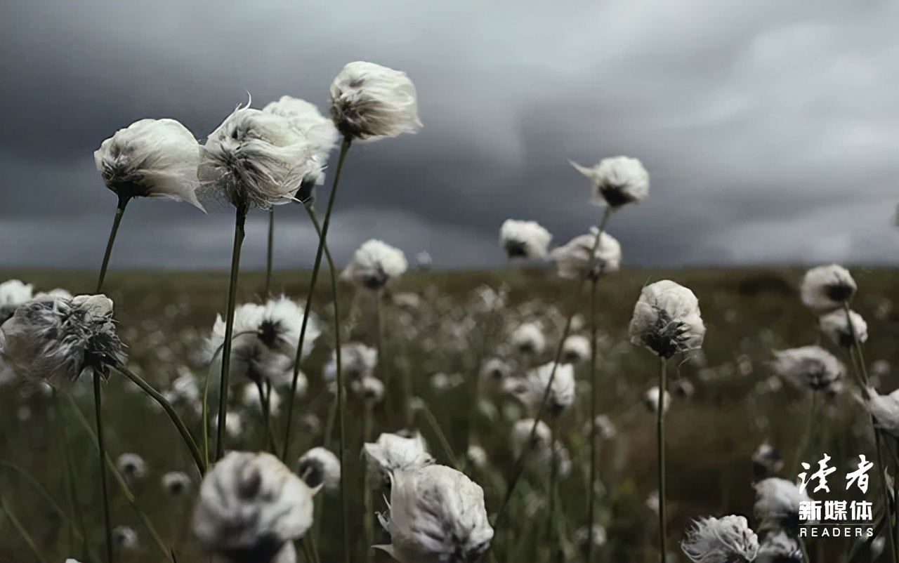 北京金牌月嫂谈顶级富豪,金牌月嫂顶级富豪