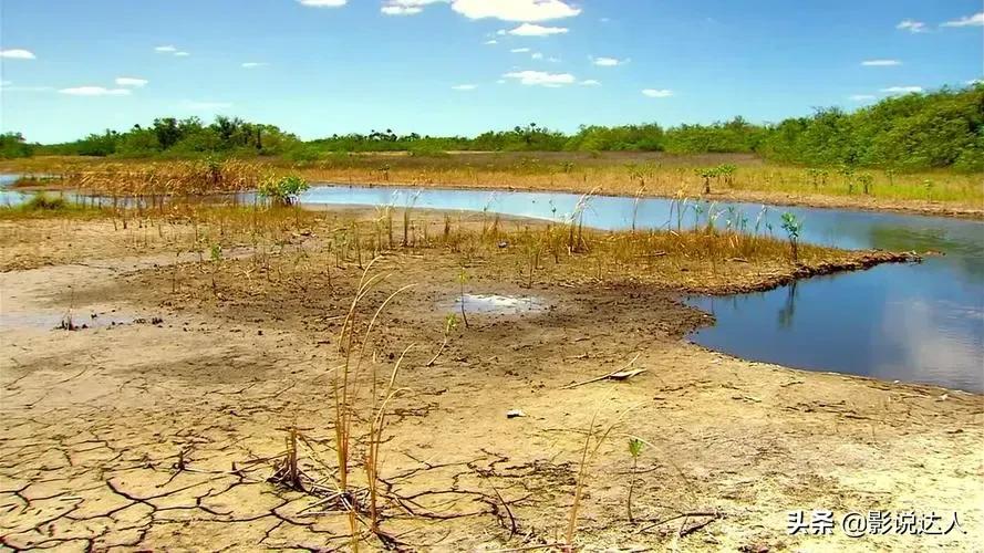 湿地的家园,河家园
