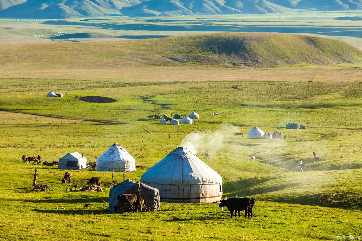 全网最全素材建议收藏,中国白酒最完整汇总