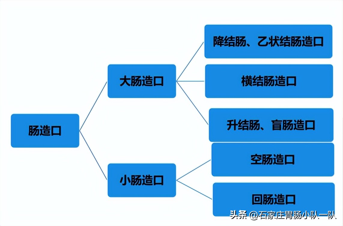 肠造口科普知识简介,肠造口步骤
