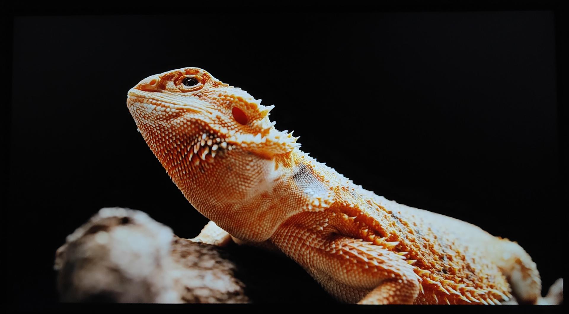 闅忔椂闅忓湴瑙傚奖,闅忔椂闅忓湴鐪嬬數褰辩殑鎰熷彈