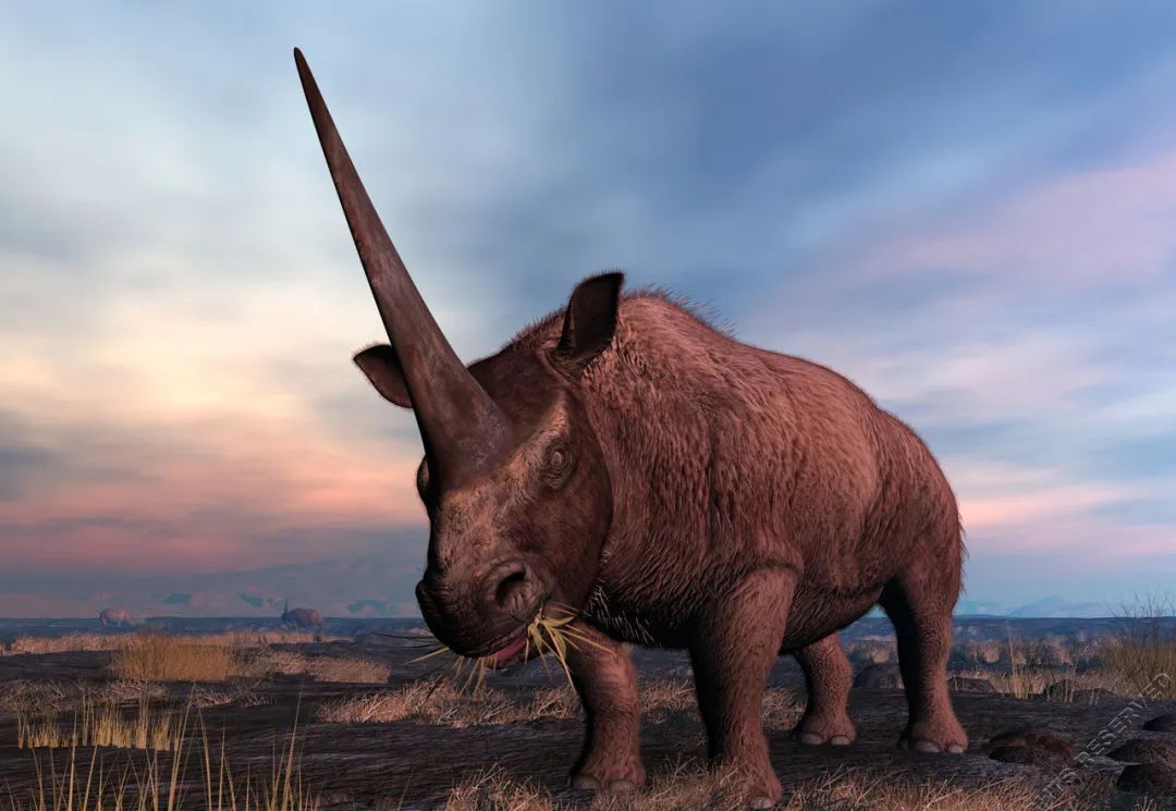 地球简史书籍完整版,地球简史46亿年的奇迹