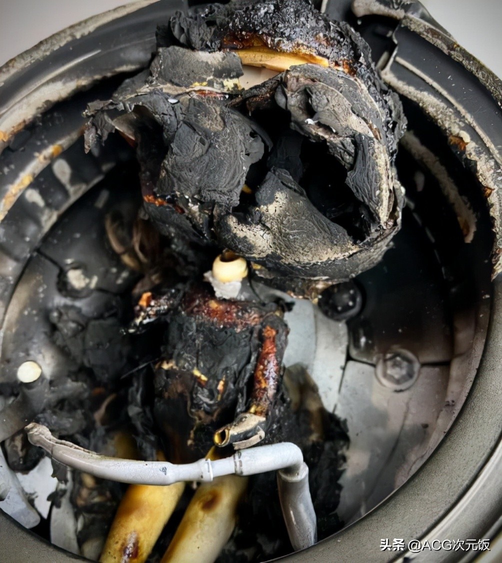 一个烧焦的玩偶,卖446万还有人抢?这到底是个什么圈子