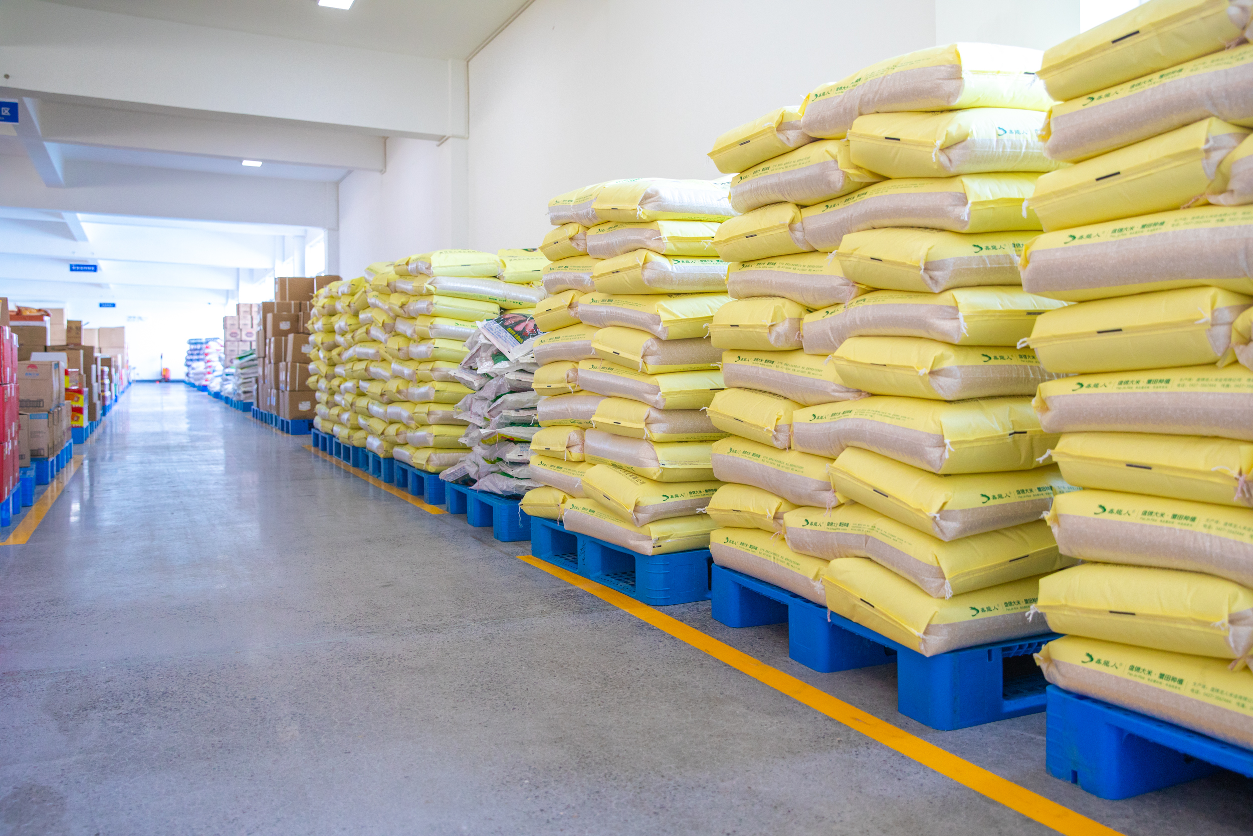 涓藉崕蹇鐩掗キ,涓藉崕鐩掗キ蹇