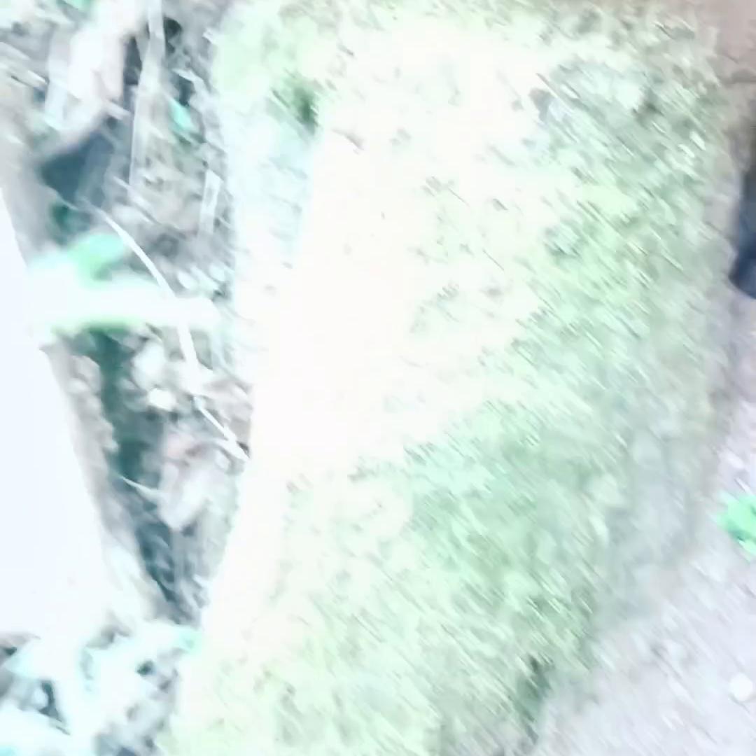 户外找蜂诱蜂技术,活蜂诱蜂的正确方法