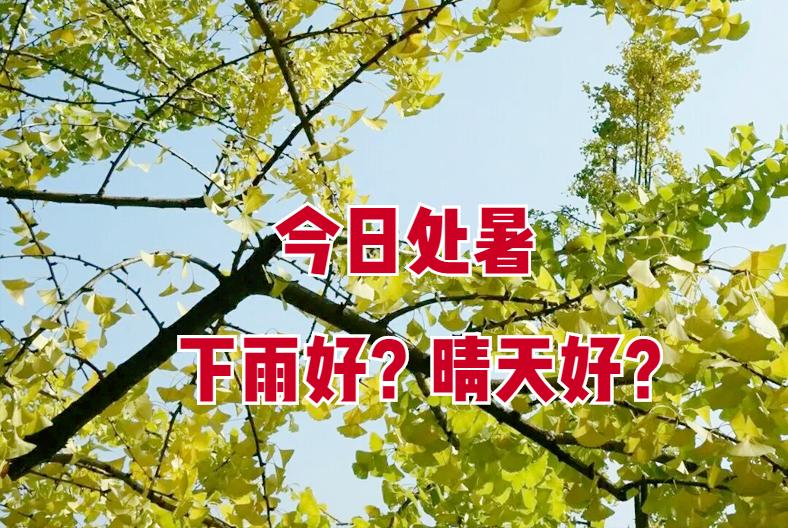 处暑下雨好与晴朗天气好区别,处暑当天下雨怎么说