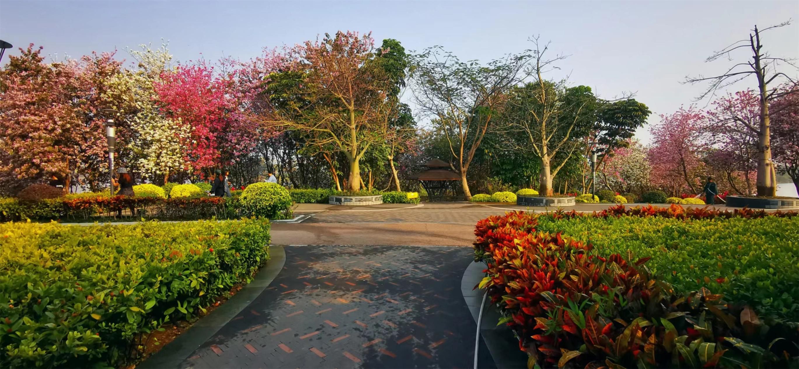 坚持健身跑步收获健康生活,跑步健身记录真实生活