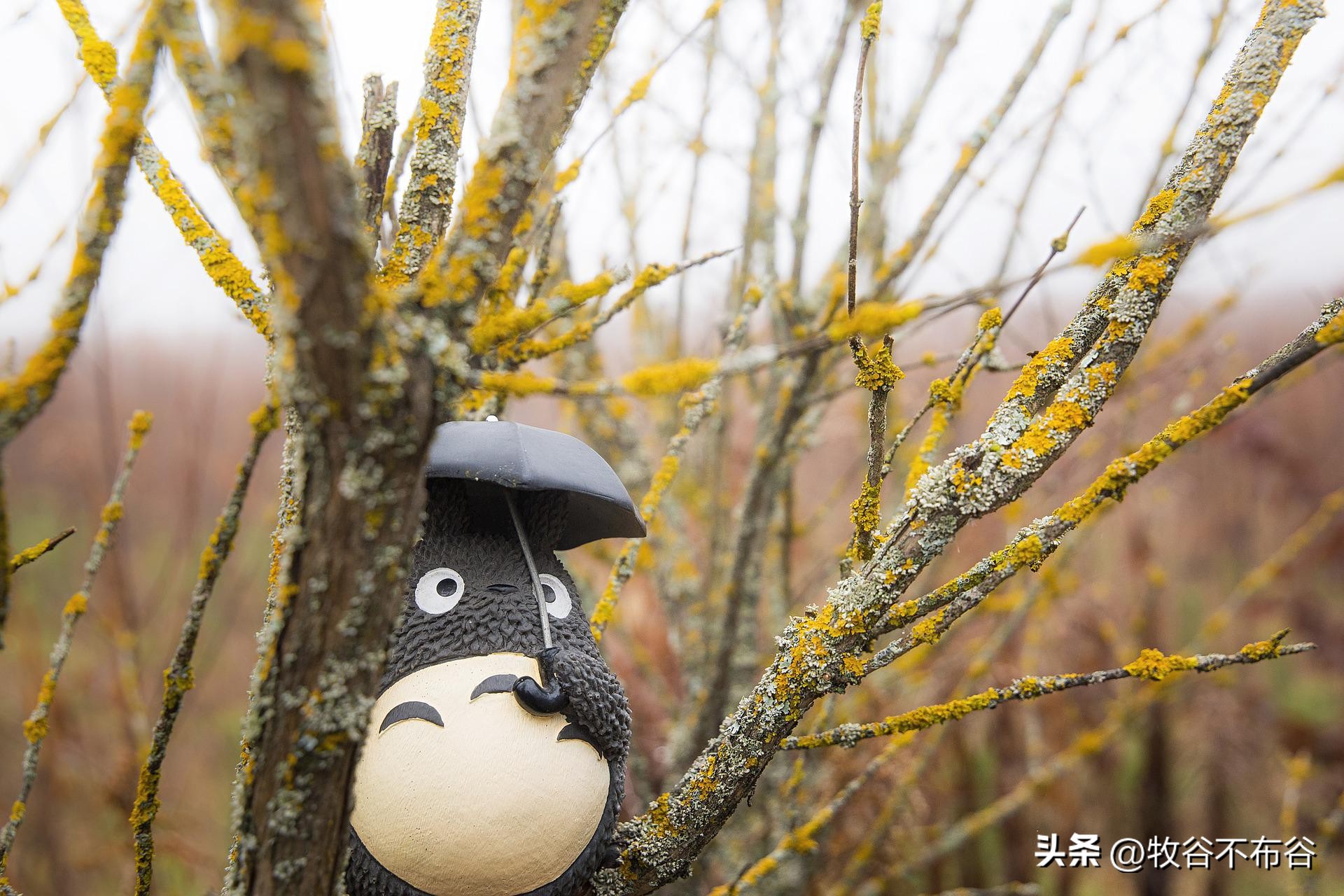 东风杨柳欲青青烟淡雨初晴,东风杨柳欲青青烟淡雨初晴朗诵