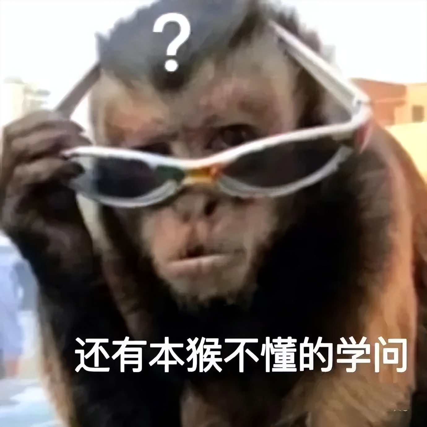 不小心把大尺度小说发给老师后...没逝的这辈子很快就过去了哈哈