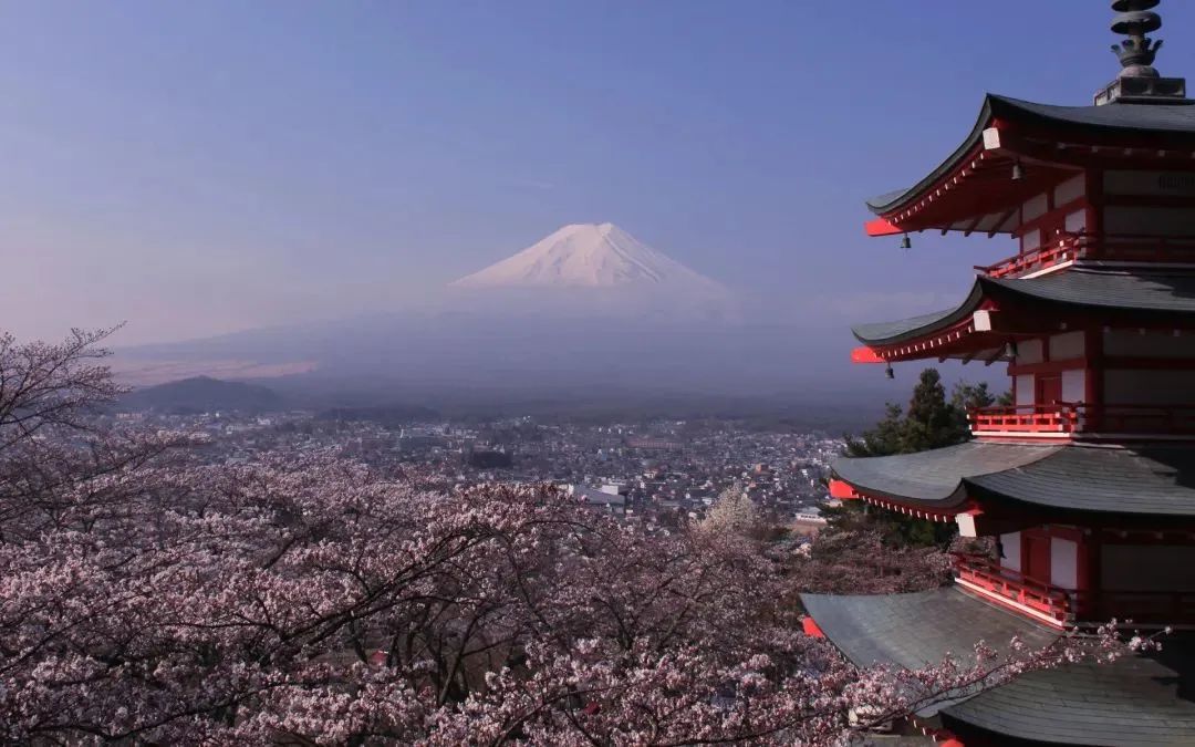 入境日本最新政策今天的消息,自日本赴华入境规定