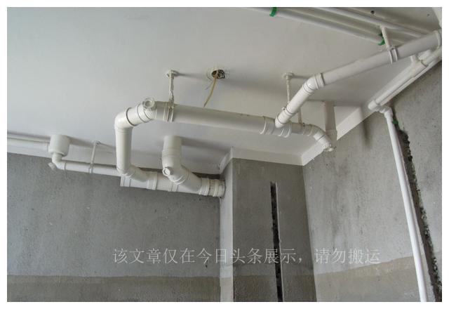 卫生间的小飞虫怎么彻底消灭,卫生间里的小飞虫怎么样消灭