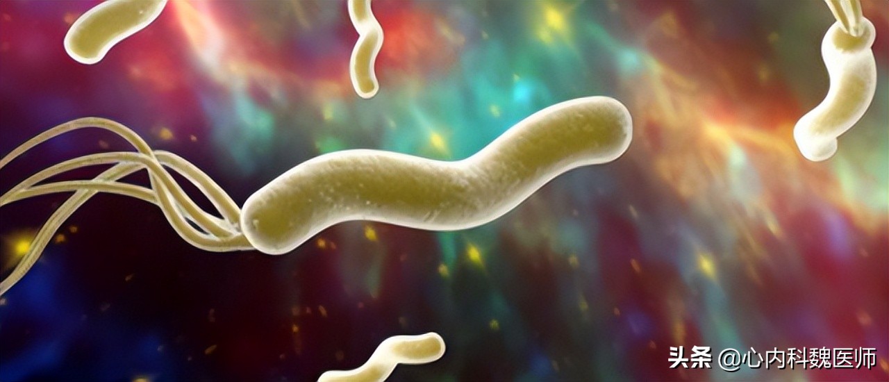 肠息肉切除后半年一定要复查吗,肠息肉切除后多长时间复查合适