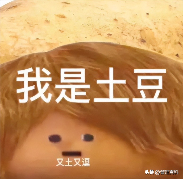 肯德基疯狂星期四值不值得去,肯德基疯狂星期四有多划算