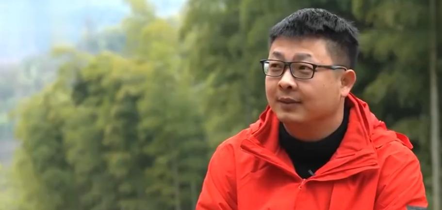 男子上山挖冬笋卖了900元,卖冬笋1万斤利润