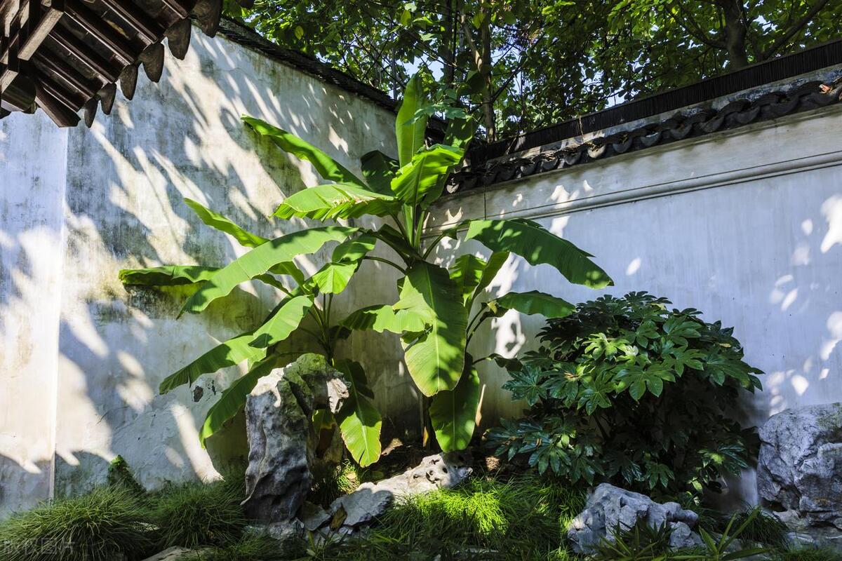 苏州小众园林攻略,苏州三座冷门园林景美人少