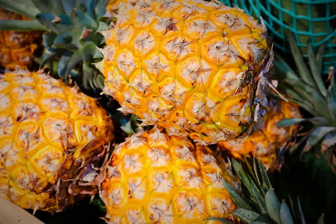现在为什么菠萝很少凤梨很多,市场上的菠萝和凤梨怎么区分
