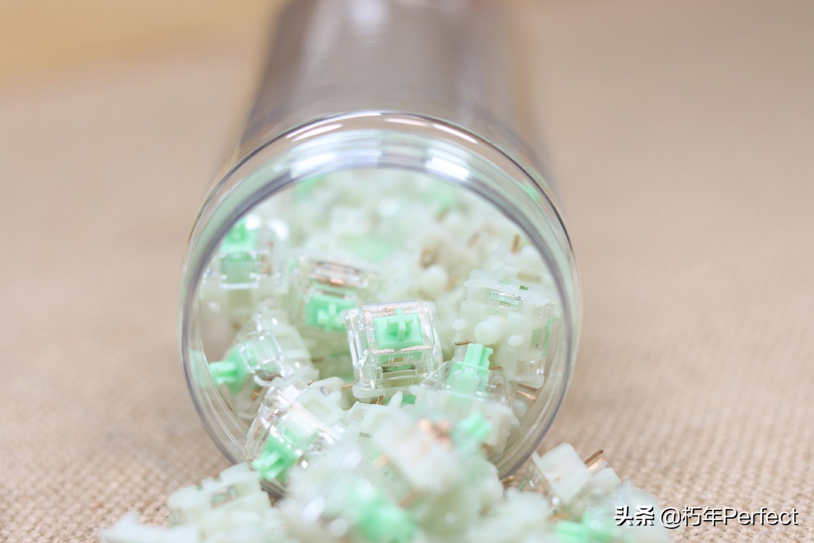 佳达隆小袋鼠轴测评,佳达隆小袋鼠轴3.0