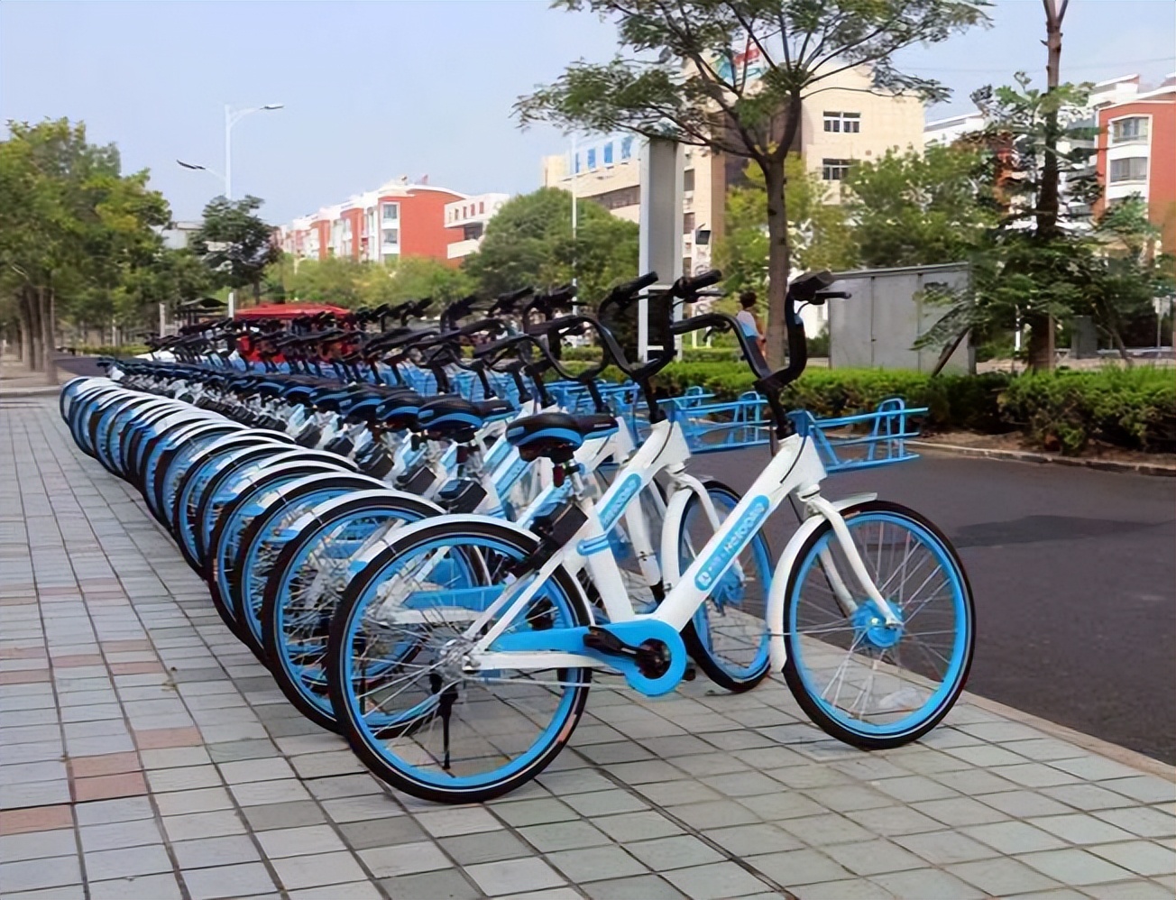 凤凰自行车21年利润,凤凰自行车一年营收