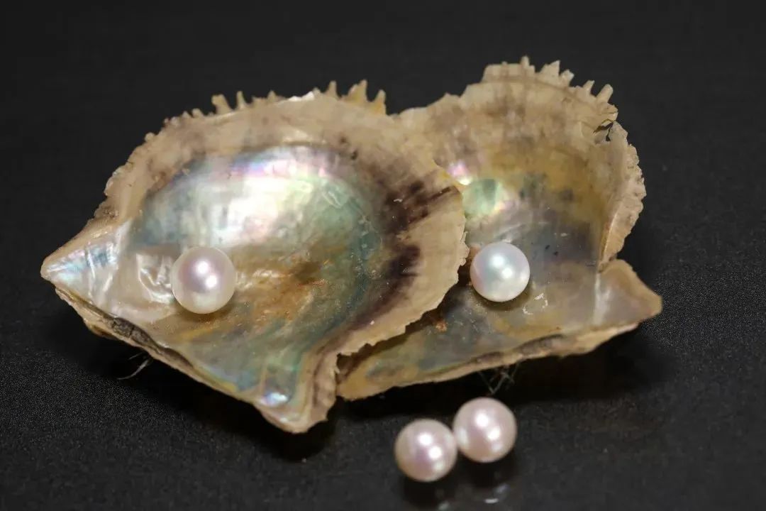 金色染色珍珠的鉴别方法,海水珍珠akoya鉴别方法