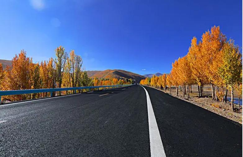 适合实体店做的高利润项目,10个低成本高利润项目适合新手